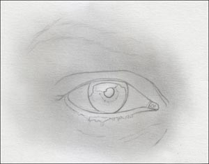 eye drawing lesson